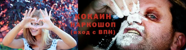 дмт Богородск