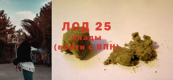 дмт Богородск